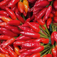Chili