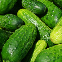 Gurke