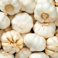 Knoblauch