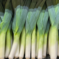 Lauch