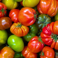 Tomate